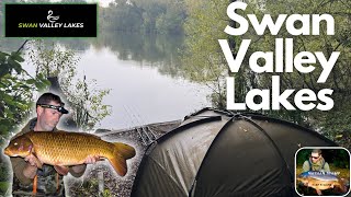 HUNT FOR A YATELEY SWAN VALLEY 40lber [upl. by Freida]