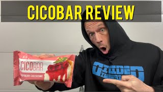 Harder Than Last Time HTLT Supps CICO Protein Bar REVIEW  Raspberry Cheesecake gregdoucette [upl. by Desberg773]