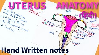 Uterus  Anatomy  In Hindi  Ishwar Didel [upl. by Ingold]