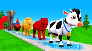 Paint amp Animals CowMammothGorillaTigerDuckLion Fountain Crossing Transformation Animals Cartoon [upl. by Nayra]