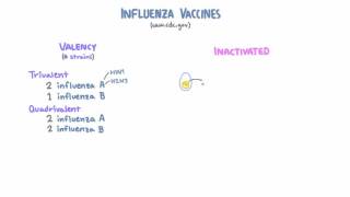 Influenza Vaccines [upl. by Borg]