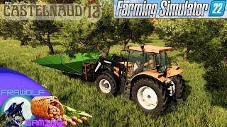 FS 22 🚜 CASTELNAUD 🏰🌰 CHATAIGNES ET NOISETTES  FIN DE LA RECOLTE  🐄🐮 EP12 [upl. by Sands]