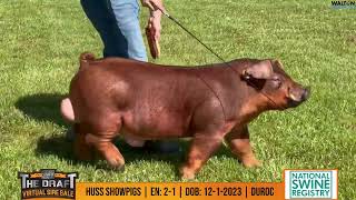 Huss showpigs en 2 1 09 May 2024 09 35 03 AM [upl. by Theodoric]