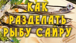 Как разделать рыбу сайру дома Разделка рыбы ч 2 от Petr de Crilon [upl. by Bolger650]