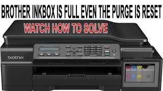 Brother DCP T800W Inkbox is Full even the Purge is Reset [upl. by Kimble892]