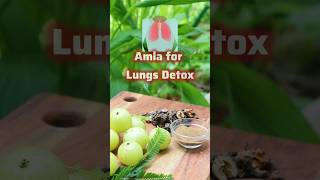 Ep81 of Vedic Recipes आंवला Amla 💥Lungs detox remedy Ayurveda amlabenefits kaphadosha [upl. by Dragoon]