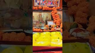 KDTV Enjoying My Festivals Happy Deepawali all of you [upl. by Annaoj]