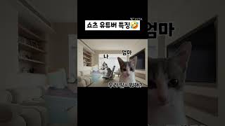 쇼츠 유튜버 특징🤣 특징 시리즈 [upl. by Lorain]