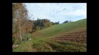 Wandern Wienerwald Elsbeer Wanderweg [upl. by Atiral]