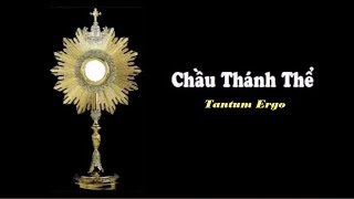 Chầu Thánh Thể  Tantum Ergo [upl. by Kerwin705]