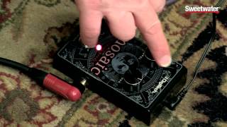 DigiTech Mosaic 12string Guitar Emulation Pedal Review by Don Carr [upl. by Mushro]