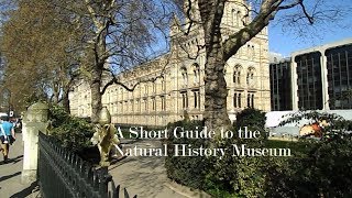 A Short Guide to the Natural History Museum in London [upl. by Philo456]