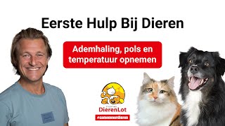 Hoe kun je de ademhaling pols en temperatuur controleren [upl. by Eiramadnil782]