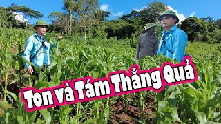 Vườn của Ton Tám hứa hẹn bội thu nhất Tem 2Q2Q vlogs cuộc sống châu phi [upl. by Cronin19]