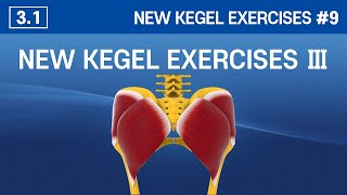 31 New Kegel Exercises Ⅲ  Easy amp Effective Kegel Exercises [upl. by Norrv354]