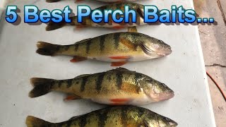 Perch Fishing Tips  The Only 5 Perch Baits That Matter [upl. by Trimble]