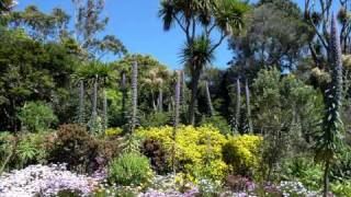 Isles of Scilly Landscape and Nature [upl. by Loralee]