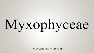 How To Say Myxophyceae [upl. by Einahpet]