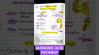 JASMONIC ACID SIGNALLING PATHWAY• FROM ALPHA LINOLENIC ACID• CSIR LIFE SCIENCES csirnet biology [upl. by Alverson]