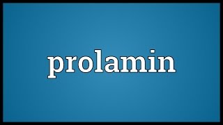 Prolamin Meaning [upl. by Whipple]