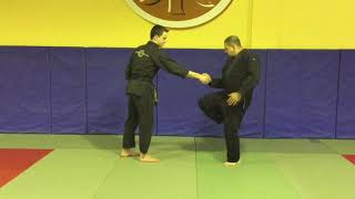 Jiujitsu lesson 3 [upl. by Casie]