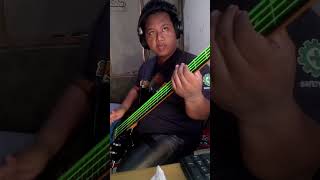 KORN  Falling away from me  Bass Cover [upl. by Paula673]