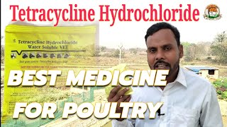 Tetracycline Hydrochloride best for poultry [upl. by Metzgar390]