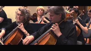 CLASSICAL MUSIC BEST OF STRAUSS The Blue Danube Waltz Op 314  HD [upl. by Jurgen455]