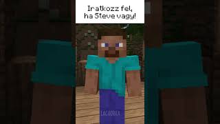 Iratkozz fel ha te is Steve vagy 😂 [upl. by Lednam]