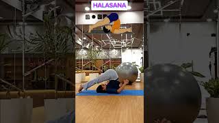 HalasanaUnlock core strength🧘‍♀️Halasana YogaShorts Flexibility youtubeshorts youtubeytshorts [upl. by Siraval]