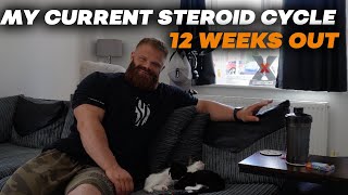 WHAT MY STEROID CYCLE IS 12 WEEKS OUT  KITTEN UPDATE [upl. by Anegroeg]