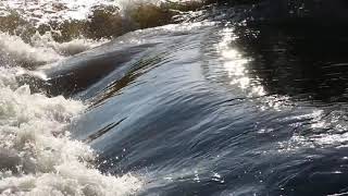 River Running Water Splash  Copyright Free Stock Video [upl. by Alayne]