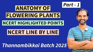 Anatomy of Flowering Plants in Tamil  Part 1  NCERT Line by line  TB 2025 [upl. by Edmonda25]