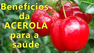 Beneficios da ACEROLA para a saúde e SUCO DE ACEROLA [upl. by Ysdnyl934]