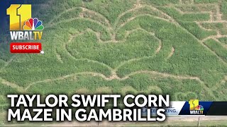 Taylor Swiftthemed corn maze to open in Gambrills [upl. by Ledairam]