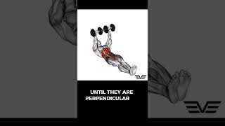 Dumbbell Flor Wipers dumbbellfloorwipers floorwipers abs absexercise absworkout [upl. by Elocel413]