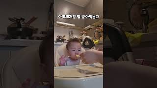 블루베리 기다려랏 10개월아기 귀여운아기 아기먹방 성장일기 블루베리 귀여워 baby 육아 육아브이로그 [upl. by Gisella]