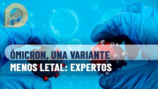 Ómicron es una variante menos letal y más breve coinciden expertos de Miami y UNAM [upl. by Erdda969]