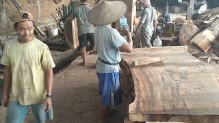 Kayu Trembesi Mahkota Gepeng wood wood working thailand india brazil [upl. by Eldorado]