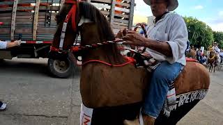 cabalgata 2024 Octubre [upl. by Castor210]