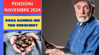 PENSIONI NOVEMBRE 2024 COSA CAMBIA NEL TUO CEDOLINO [upl. by Ydoc]