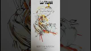 Le tarot Signification des cartes Sept de baton [upl. by Derwon444]