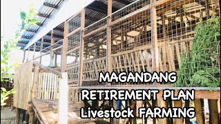 ANO NGA BA ANG MAGANDANG RETIREMENT PLAN PARA SA MGA MAHILIG SA FARMING [upl. by Iaj]