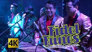 Fidel Funes y su Marimba Orquesta  Ilusiones 4K [upl. by Hctub]