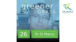 Dr Di Marzo Endocannabinoid Science [upl. by Oyam]