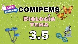 COMIPEMS Biología Tema 35  Alimentación [upl. by Okier]