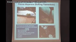 SSA 2016  Microbiologia de Lodos Ativados 2 de 2 [upl. by Kristof]