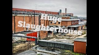 Huge Abandoned Slaughterhouse  Forladt slagteri [upl. by Hgielram]