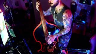 Time To Rock  Go Cat Go  UprightDouble Bass Cover rockabilly rocknroll basscover slapbass [upl. by Junko]