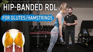 Banded Barbell Romanian Deadlift RDL  Proper Technique for Targeting Glutes [upl. by Etnod]